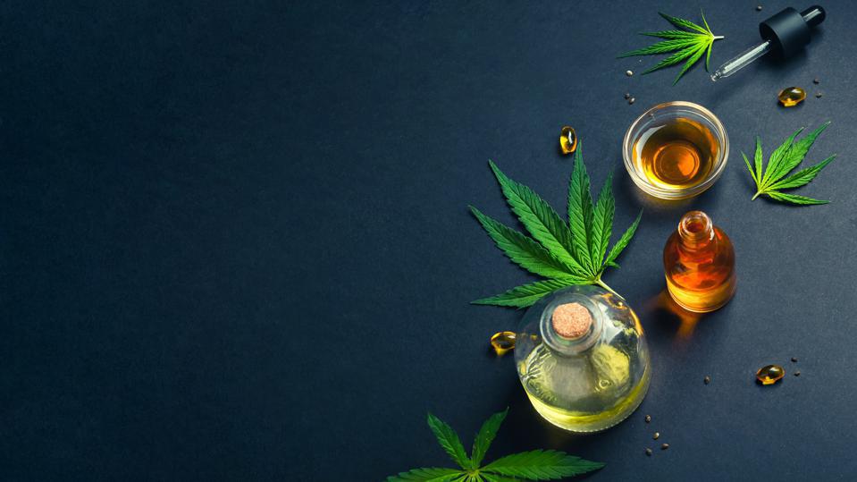 The Benefits of Using a CBD Industry Contact List for Your Business