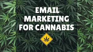 How a Cannabis Dispensary Email Database Can Help You Grow Your Business