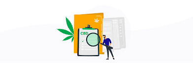 Navigating the CBD Industry: The Importance of CBD Business Directories